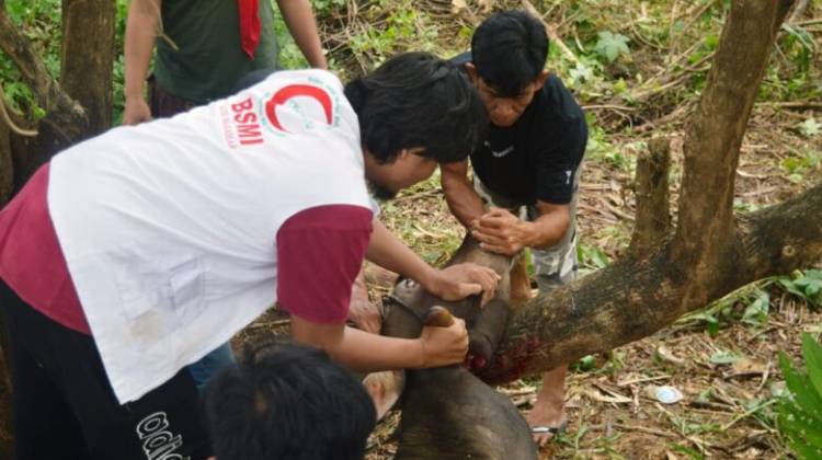 BSMI Maros Gelar Kurban Perdana untuk Masyarakat