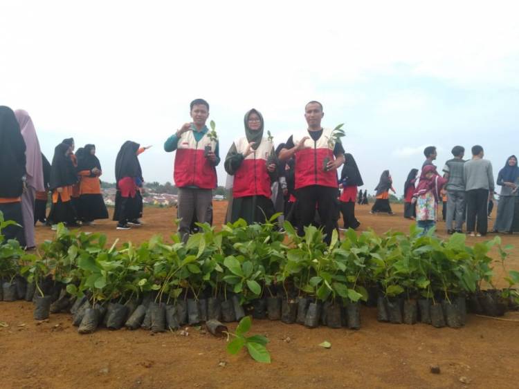 Usai Dilantik, Relawan BSMI Bengkulu Langsung Tanam 100 Ribu Bibit Pohon